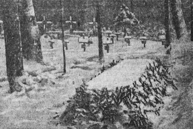 Необычная история: Зачем на могиле Толстого хоронили солдат Третьего рейха