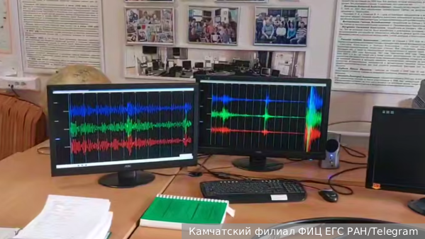     Фото: Камчатский филиал ФИЦ ЕГС РАН/Telegram   
 Текст: Антон Антонов