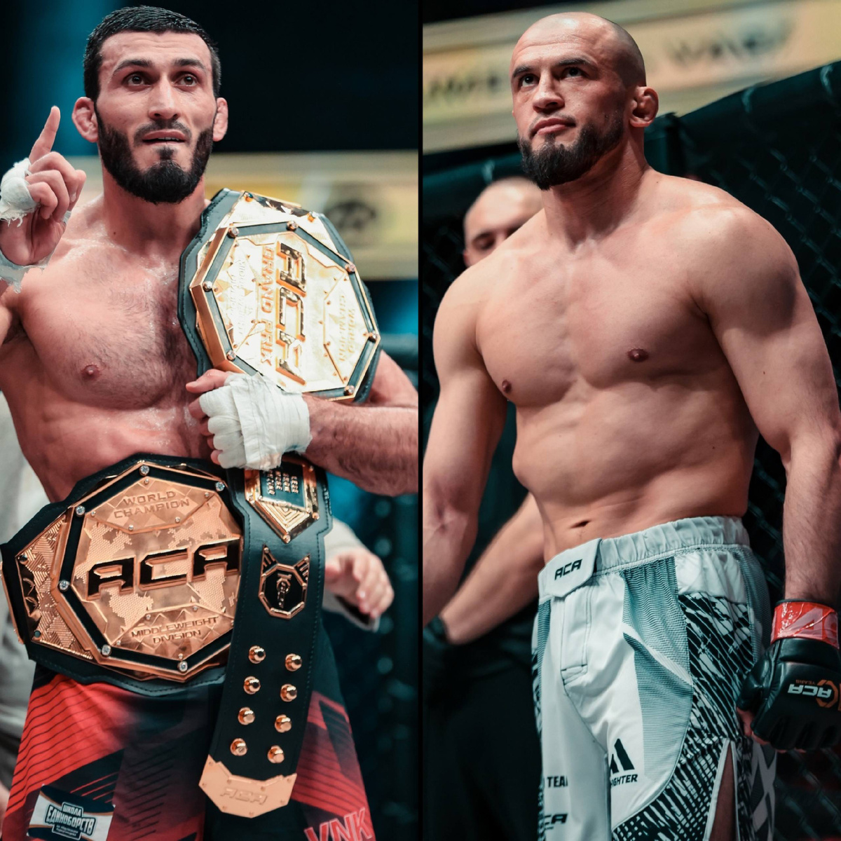 С телеграмм канала Мухаммада Бибулатова.