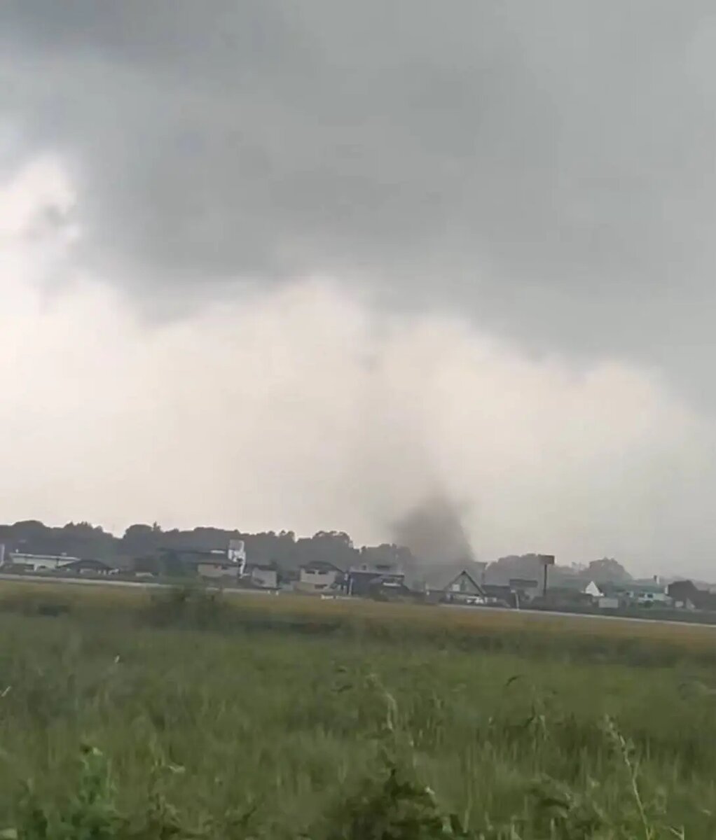    Фото: скриншот видео из соцсетей