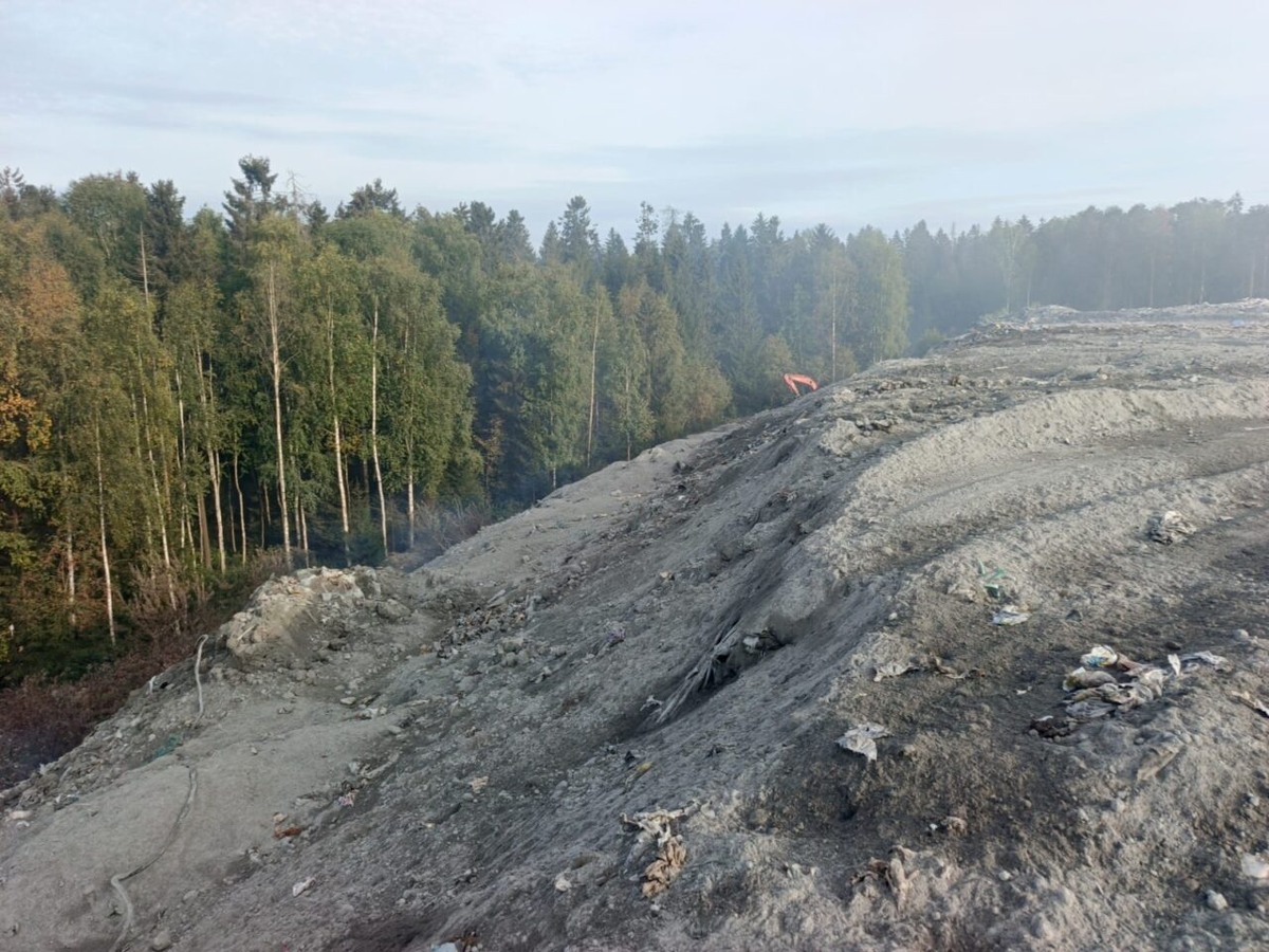    Фото: Олег Поляков