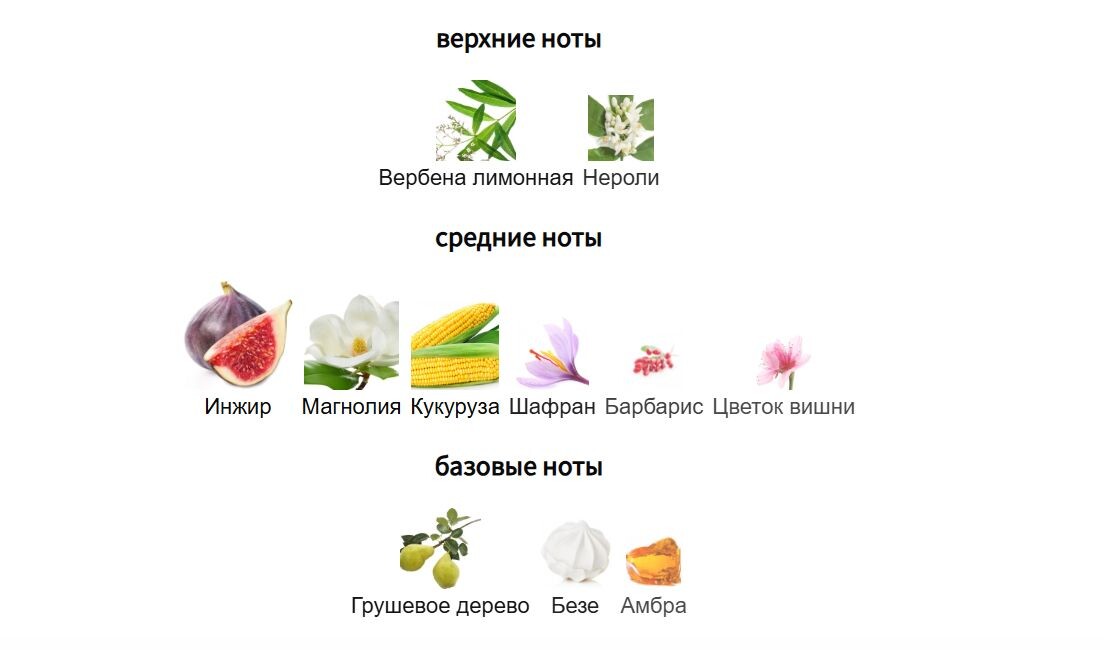 fragrantica.ru