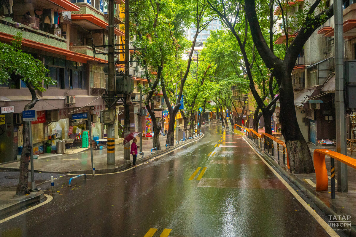 Фото: © Владимир Васильев / «Татар-информ»