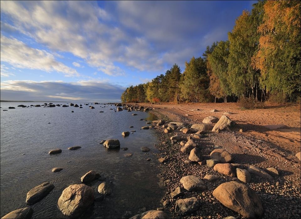 Золотая осень у тебега Финского залива. Фото: https://ru.pinterest.com/