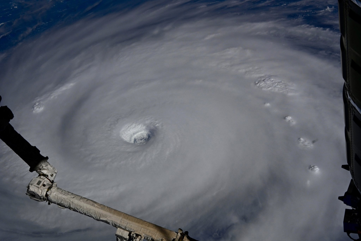 Окружность с выколотой точкой в центре.