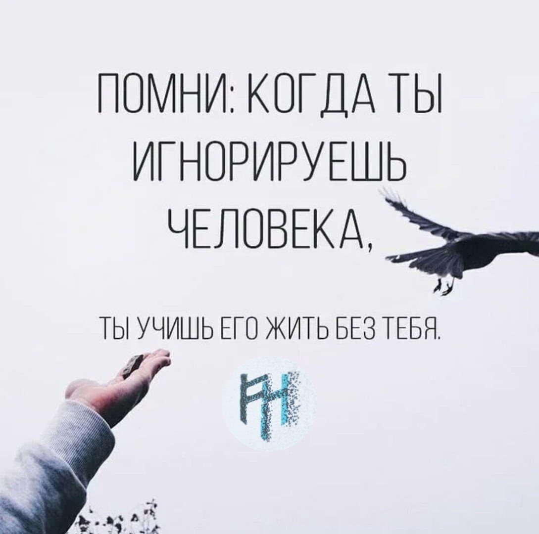 Источник Яндекс фото