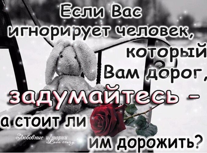 Источник Яндекс фото