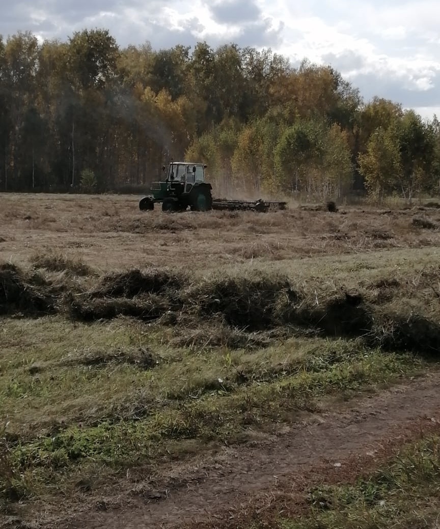 Всё сам. Трактор и грабли свои