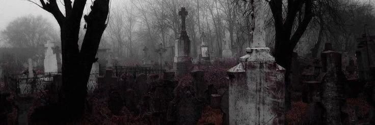 Изображение взято из открытых источников интернета. 