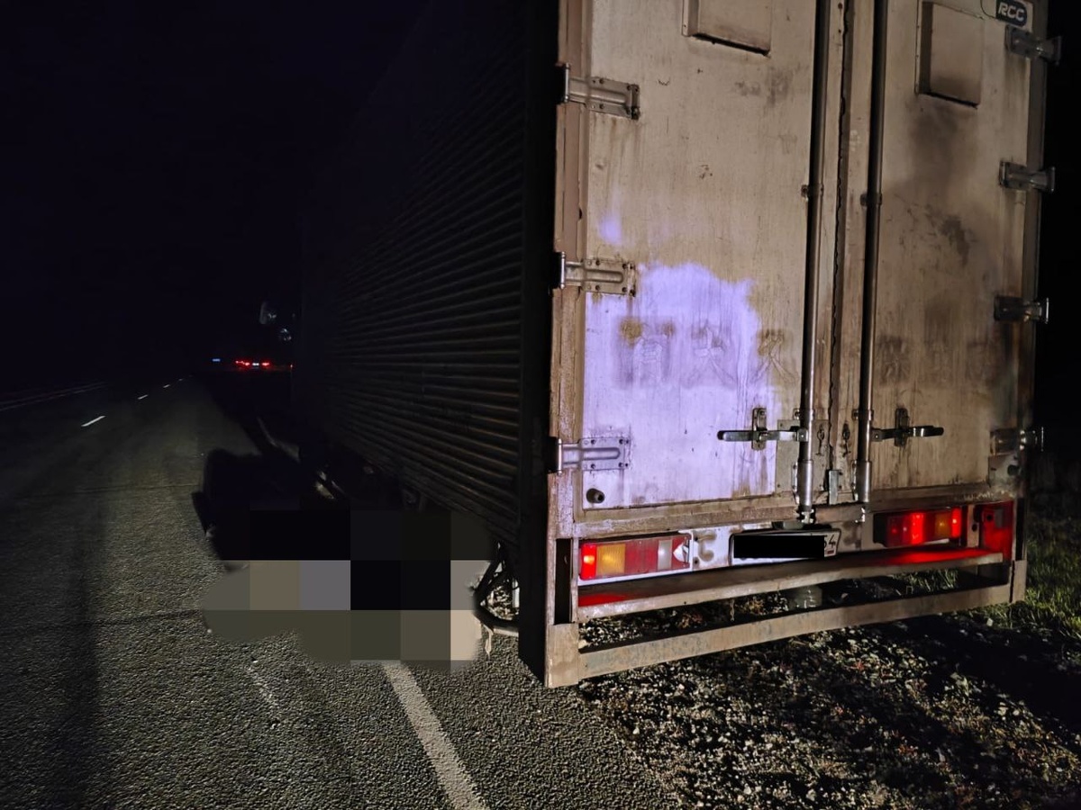    Фото: Госавтоинспекция НСО