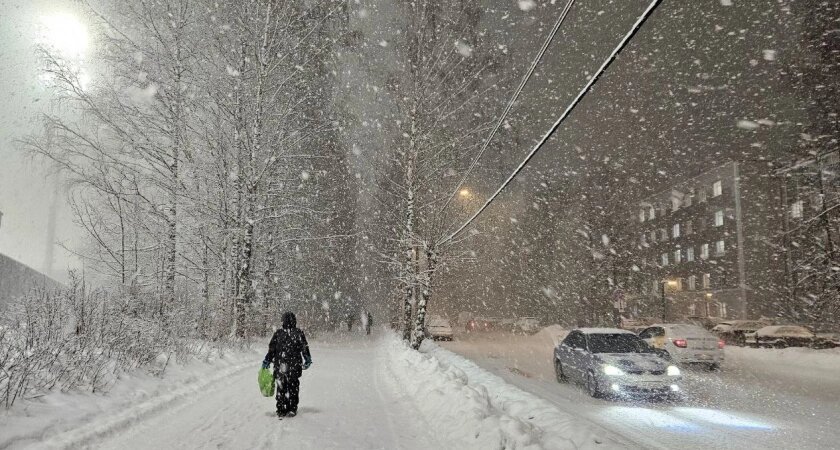    Синоптик Вильфанд озвучил прогноз погоды на выходные, 20 и 21 сентября — выпадет мокрый снег
