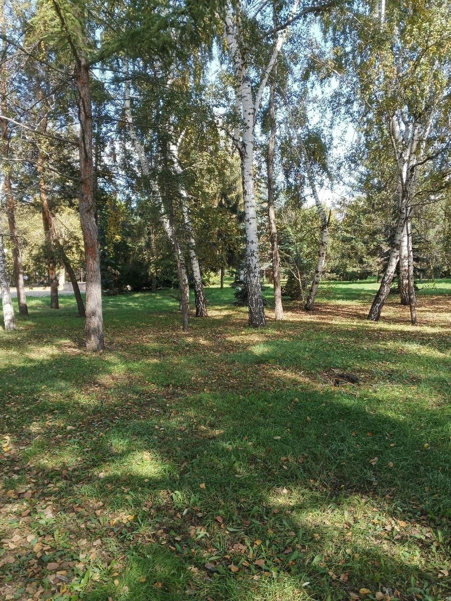 Сквер образца 16.09.2025