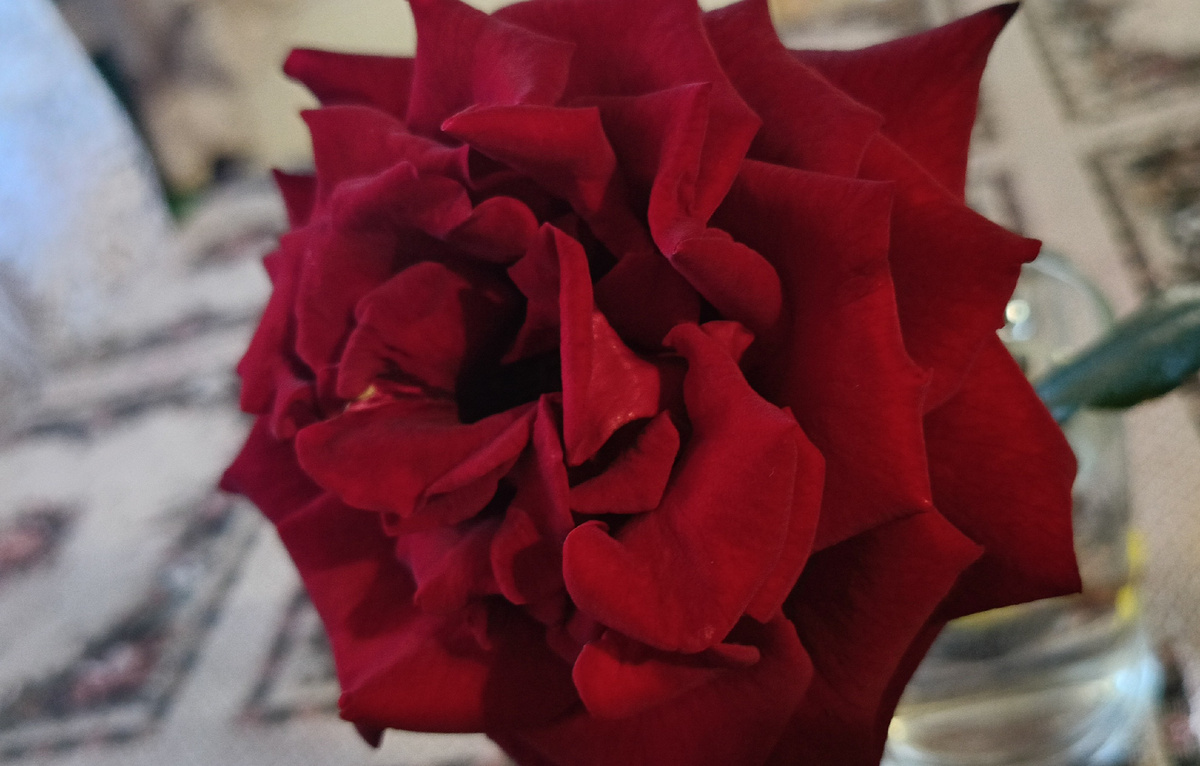 Из личного архива