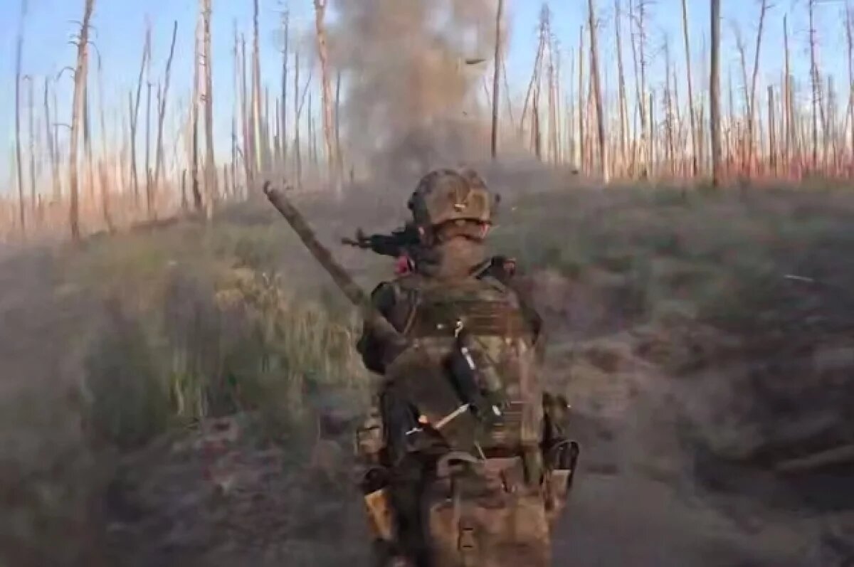    Лес призраков: кишащее тысячами трупов ВСУ лесничество освободили в ЛНР