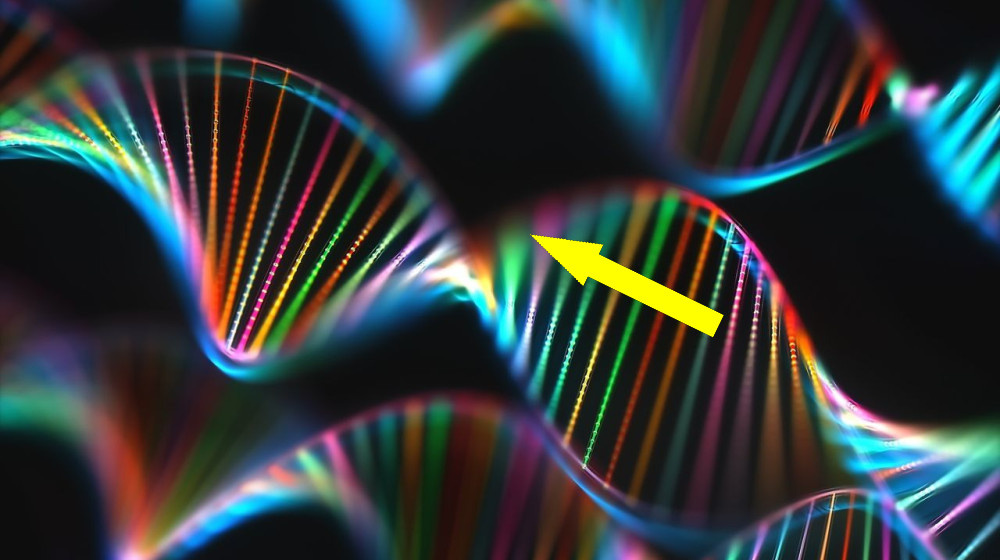    Как наши гены раскрывают тайны наших предков