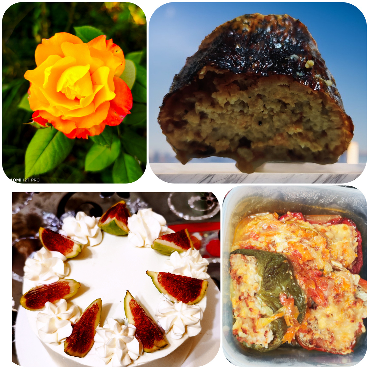 Коллаж автора.