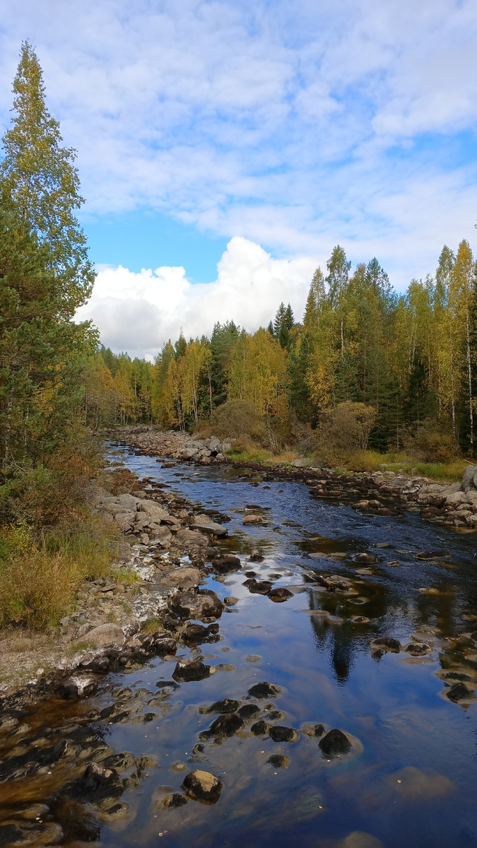 фото автора: Суоярвский район, Карелия, Тарасийоки