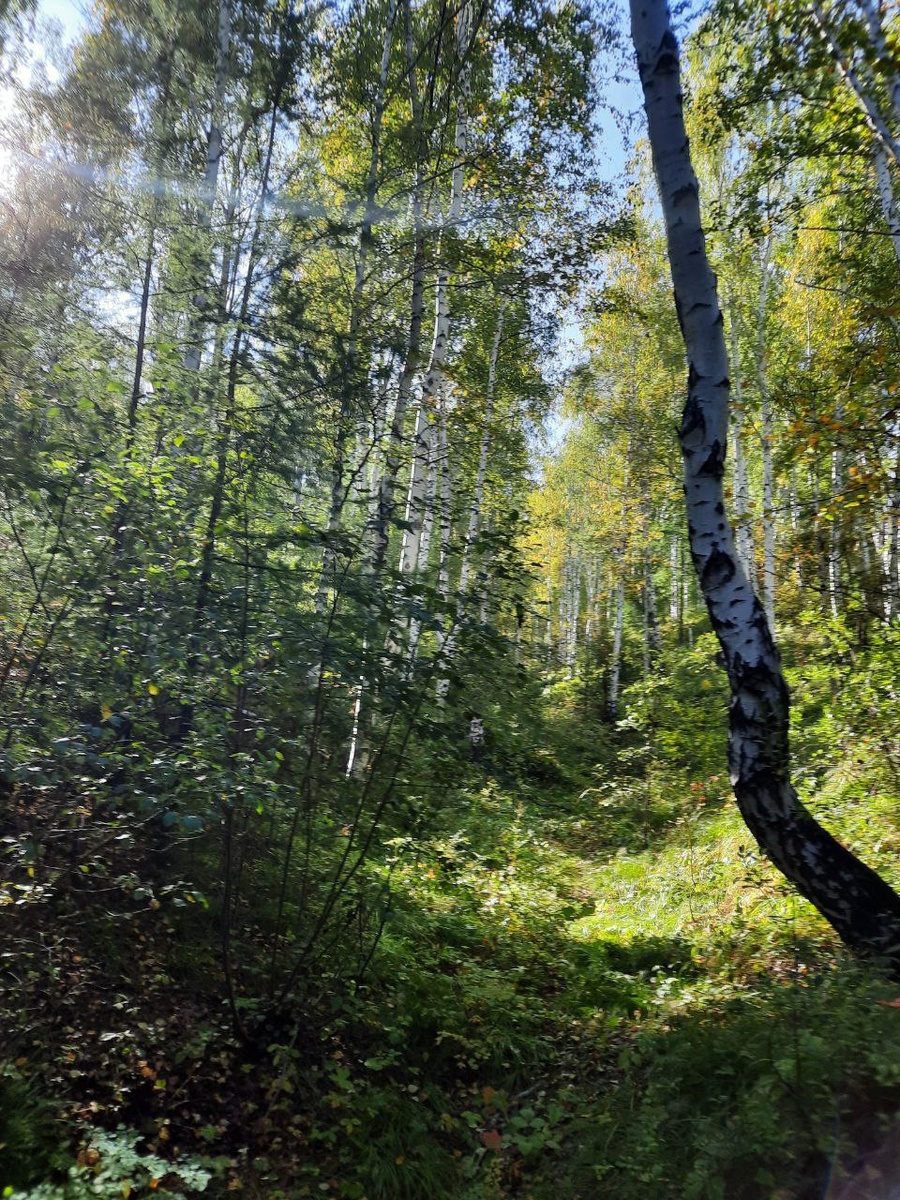 Фото автора.