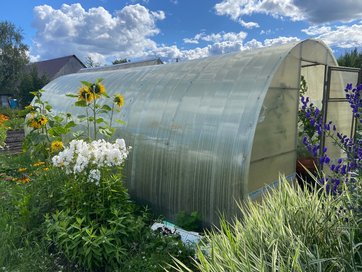    Сожгите осенью в теплице – и вредители сыграют в ящик: эффективный метод борьбы с любыми паразитами