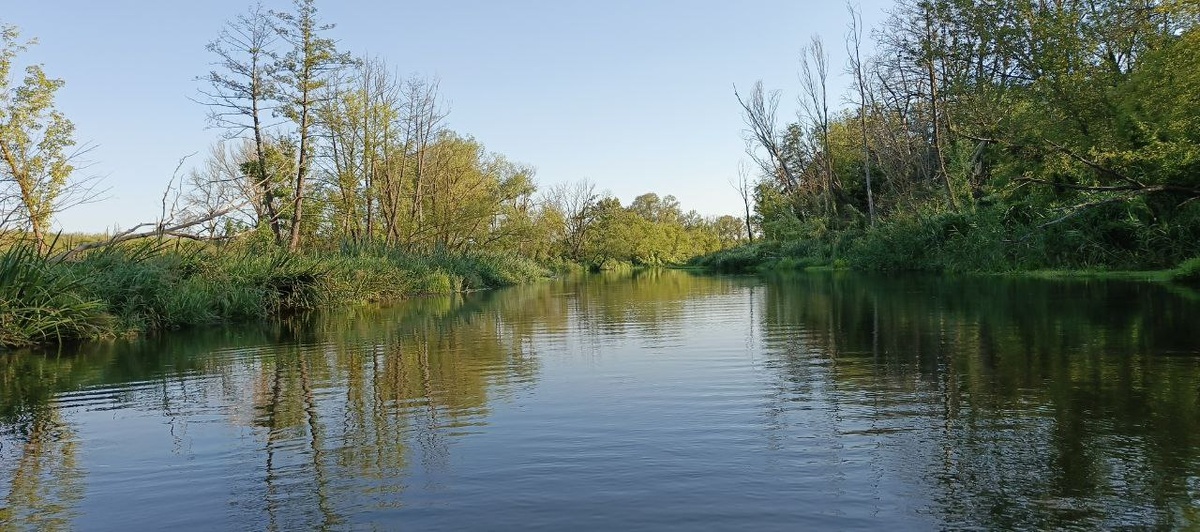 Очень красивая река, которая уходит на много километров. Сплавляться на лодке по реке Оскол очень интересно, потому что красоты этой реки выглядят незабываемо. 