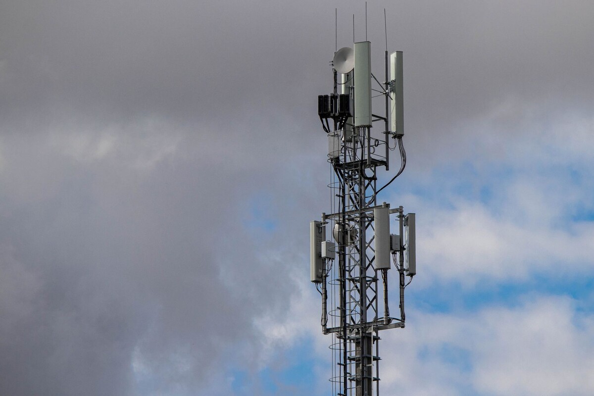     / Источник: Анна Рыжкова © ИА Регнум