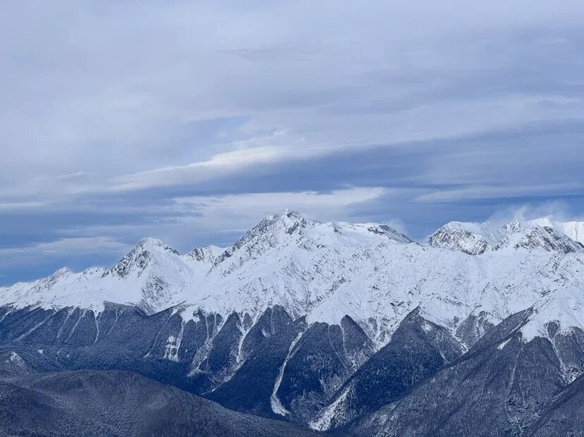    Фото: Екатерина Мухамедова/BFM Кубань