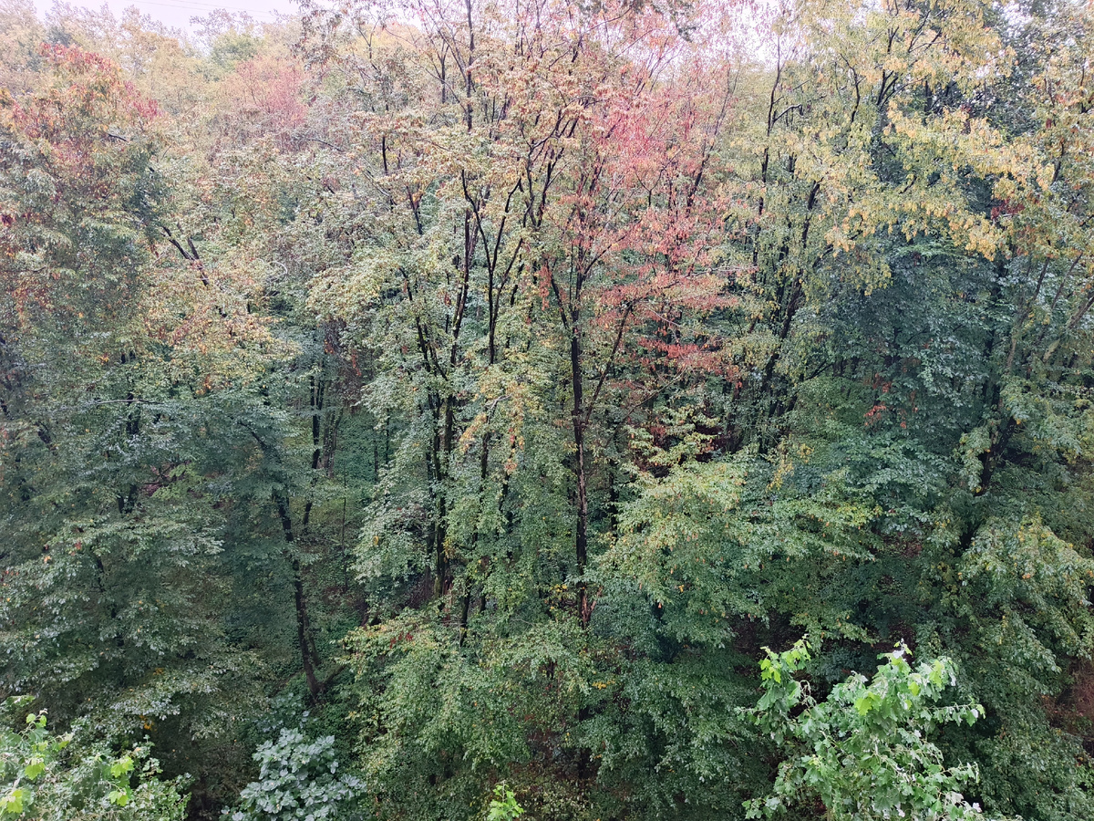 Адлер, 19.09.25