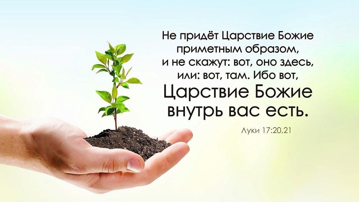 «Будучи в мире, будь вне его. Потворствовать желаниям — страдание. Пресекать желания — тоже страдание». Эти наставления каждый из нас должен претворить в своей жизни.
Хун Цзычен "Вкус Корней"   洪自诚 菜根譚   (пер. В. Малявин)