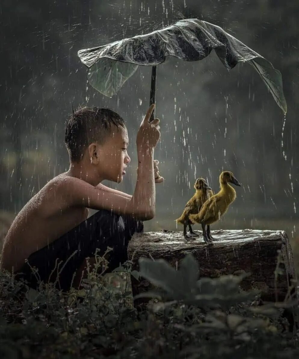 Золото добывают из руды. Яшму извлекают из обыкновенных камней. Не будь обманчивой видимости, было бы невозможно искать правду.
