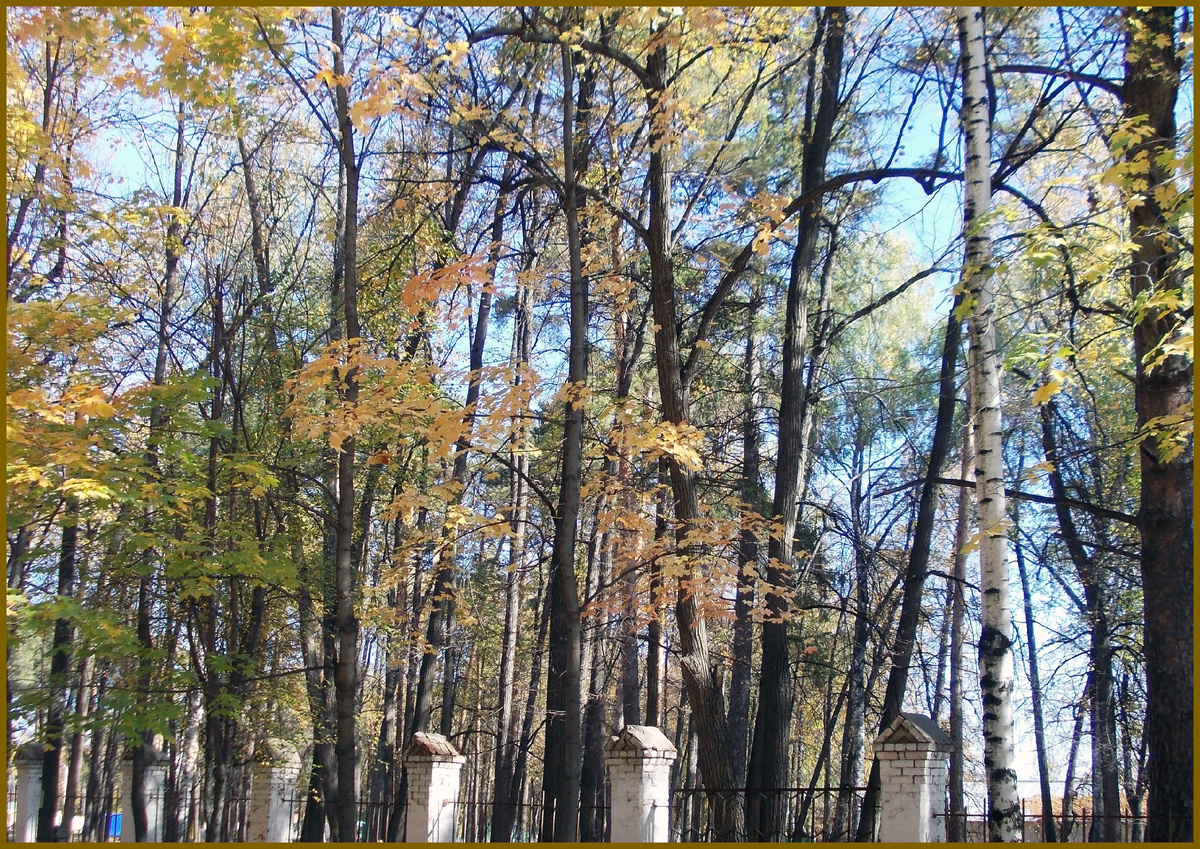 Осень в Сарапуле, фото автора