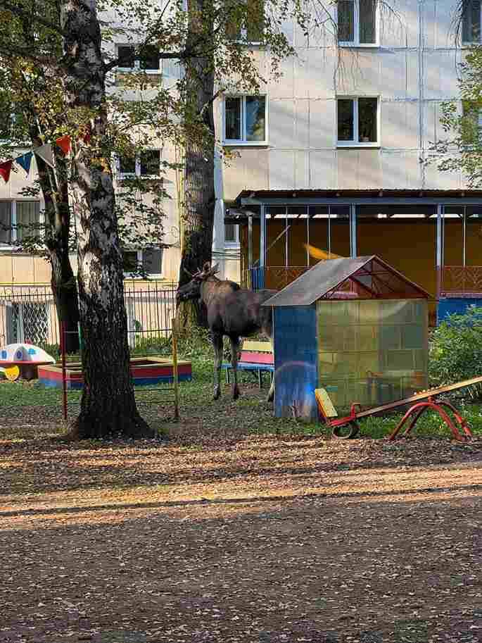    Фото: соцсети Антона Тарасова