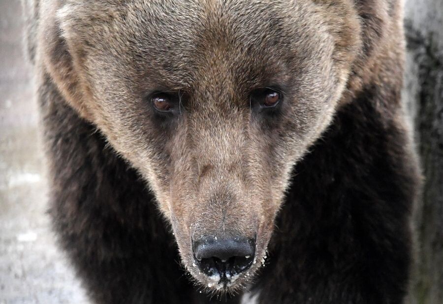     / Источник: © Илья Наймушин/РИА Новости