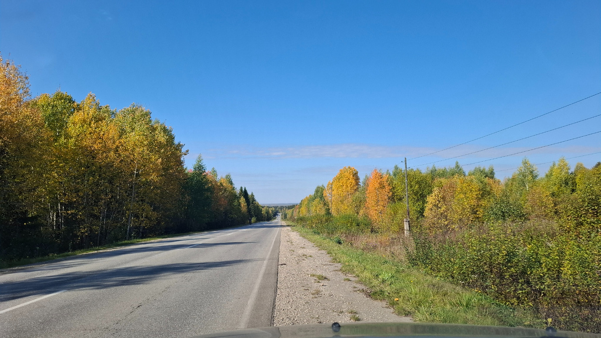 По дороге в сад