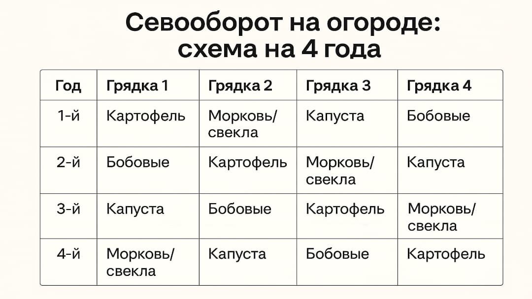 Простая таблица на 4 года