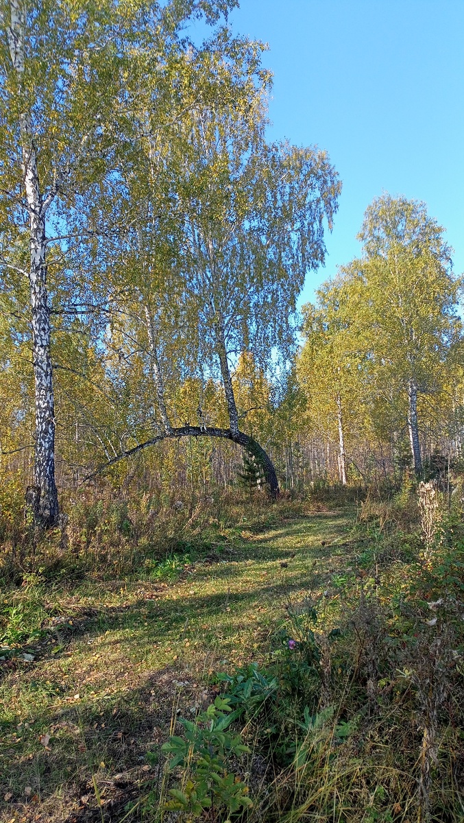 Фото автора канала "Волнушка"