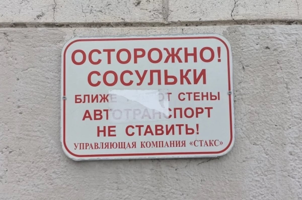    Начальницу ЖКХ в Петербурге осудили за падение сосульки на женщину