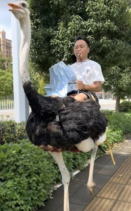    Фото: социальная сеть Weibo