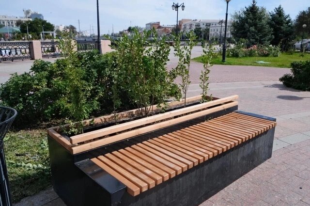    Фото: Администрация Астрахани