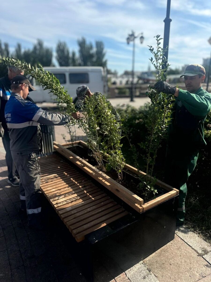    высадка кустарников астрахань осень 2025 озеленение Фото: Администрация Астрахани