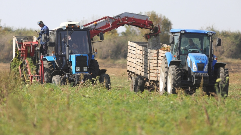    В агропромышленном комплексе не хватает как рядовых работников, так и узких специалистов Фото: Дмитрий Ахмадуллин / / ИА «Победа26»