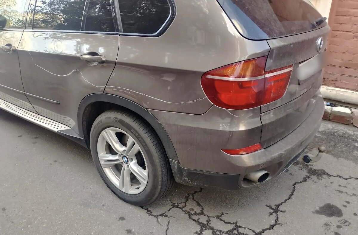    Фото: ГУ Росгвардии по Петербургу и Ленобласти