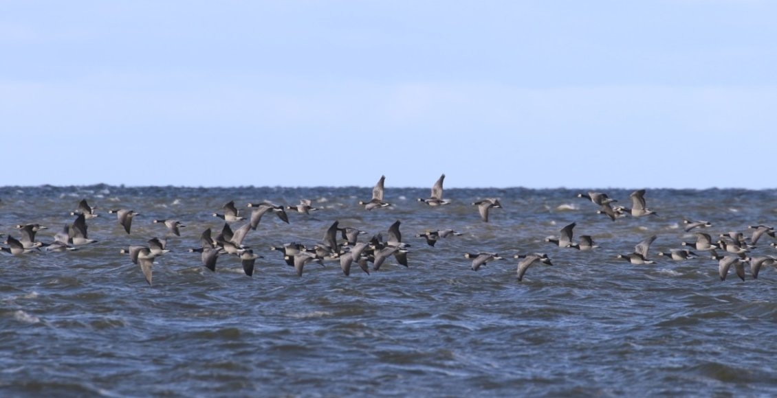    Фото: Мария Шведко