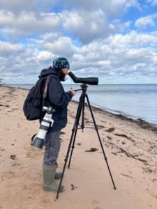    Фото: Мария Сырцова