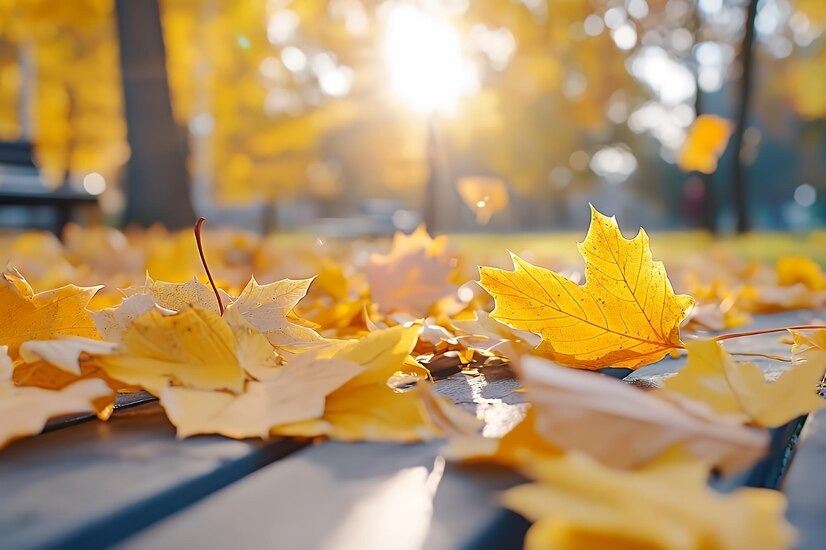    Источник фото: freepik.com Марина Ецкова