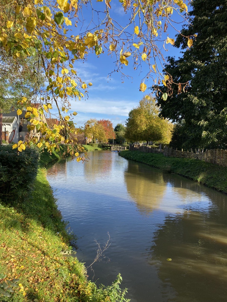 Солнечная осень