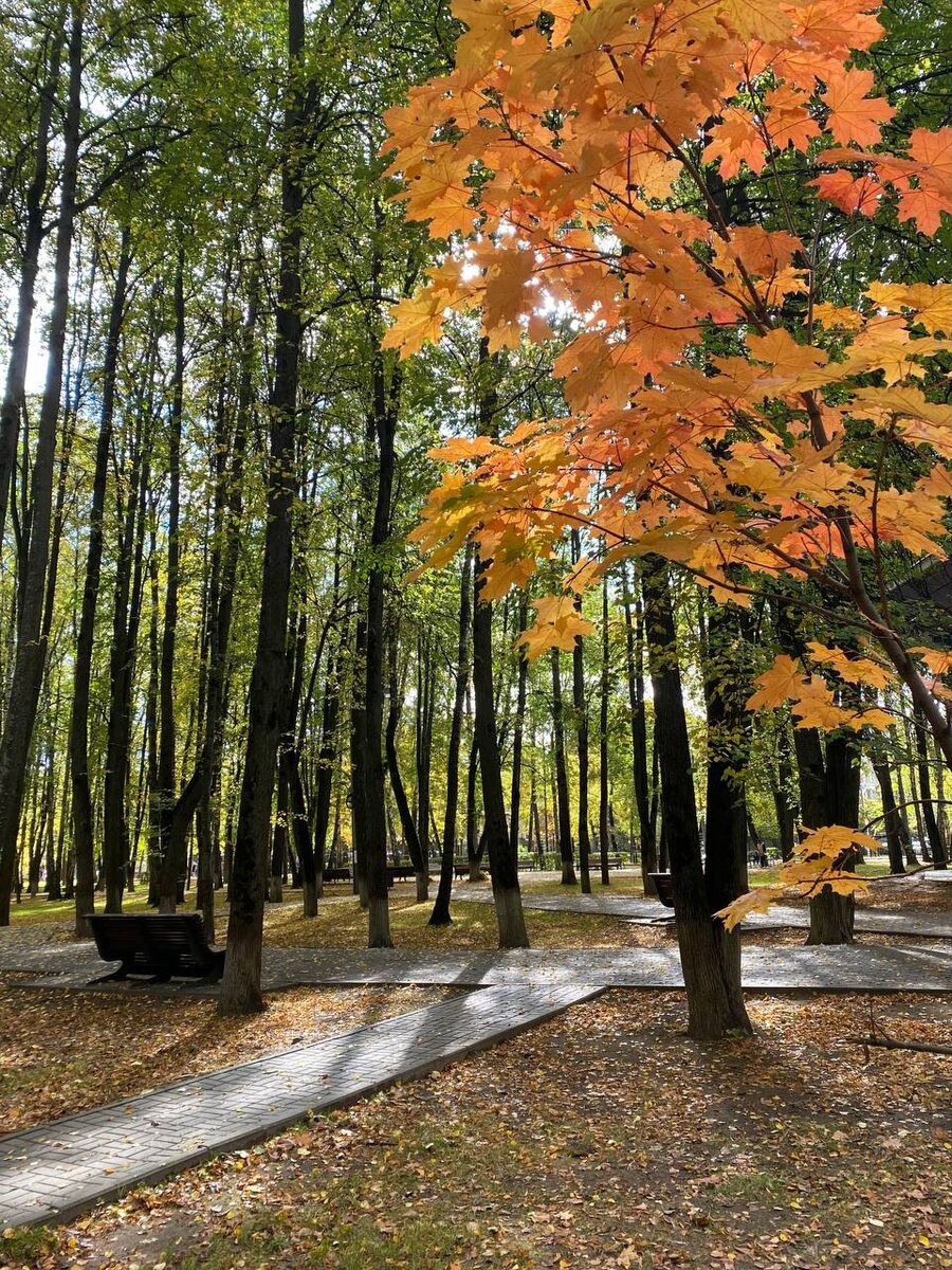 Осень в моём городе