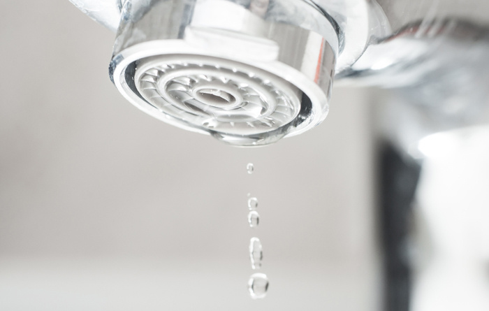 Фото: Adobe Stock