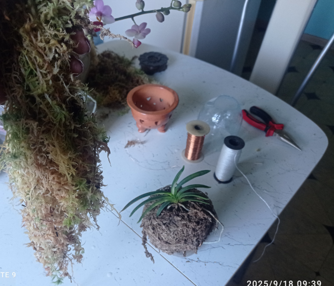 начало действа