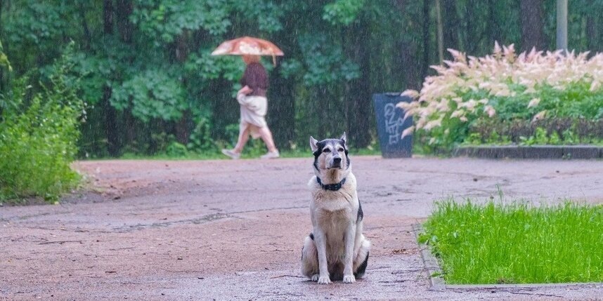    Алена Бобрович