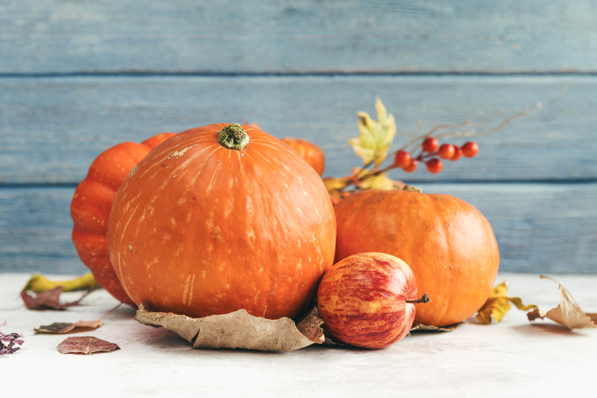 Designed by Freepik (www.freepik.com)